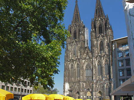 gelbe Sonnenschirme vor Kölner Dom