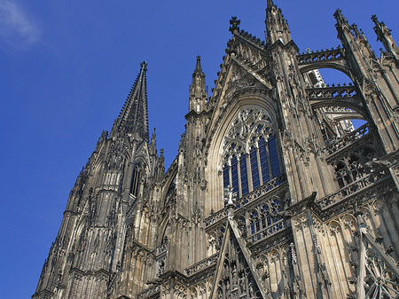 Fotos Südportal des Kölner Doms | Köln