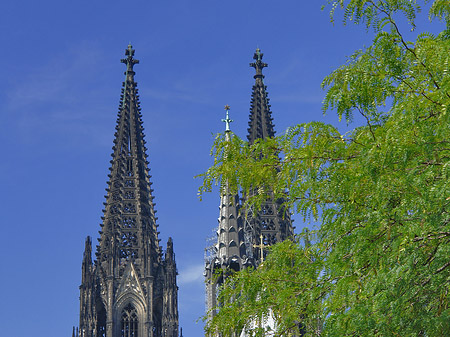 Türme des Kölner Doms Foto 