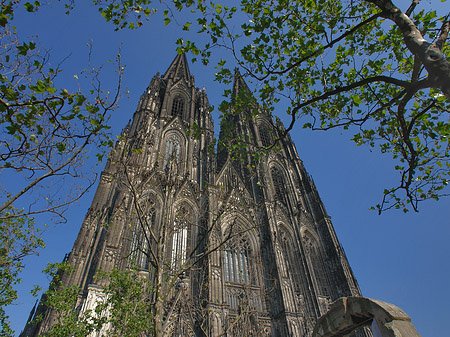 Westfassade des Kölner Doms Fotos