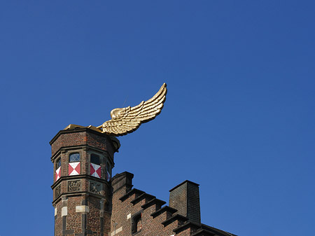 Foto Flügelauto des Kölnischen Stadtmuseums