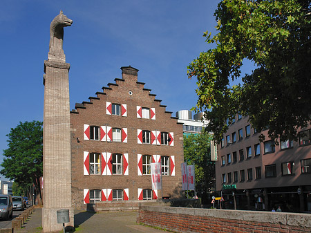 Foto Wolfsstatue und Stadtmuseum - Köln