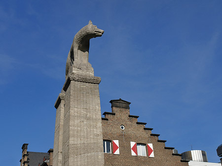 Fotos Wolfsstatue und Stadtmuseum | Köln