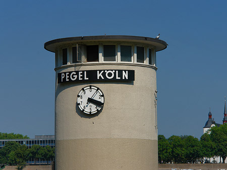 Pegel Köln