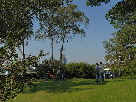 Foto Rheinpark - Köln