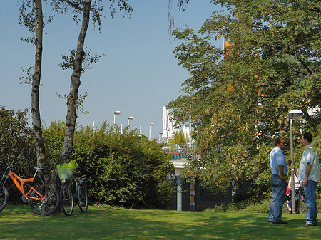 Fahrräder im Rheinpark