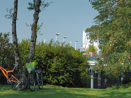 Fotos Fahrräder im Rheinpark | Köln