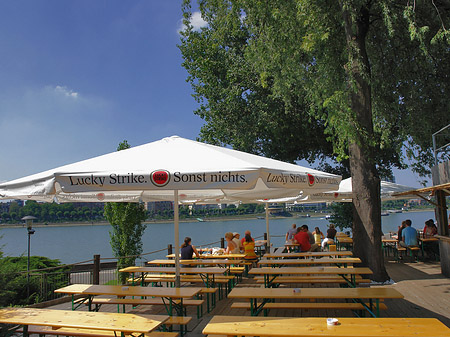 Café am Rhein Foto 