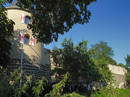 Fotos Sachsenturm hinter Busch | Köln