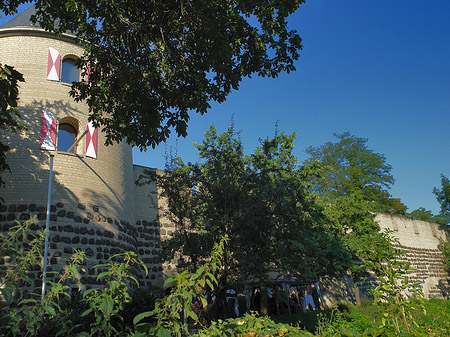 Fotos Sachsenturm hinter Busch | Köln