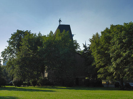 Sachsenturm hinter Busch Foto 