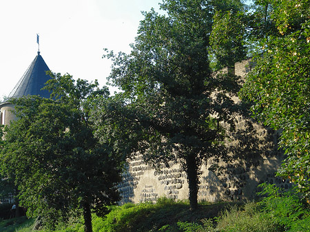 Foto Stadtmauer und Sachsenturm am Sachsenring - Köln