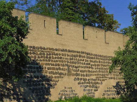 Foto Stadtmauer am Sachsenring