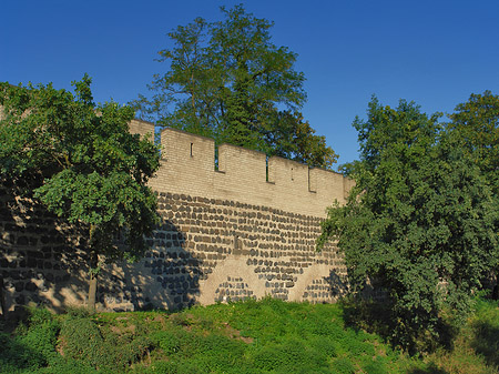 Foto Stadtmauer am Sachsenring