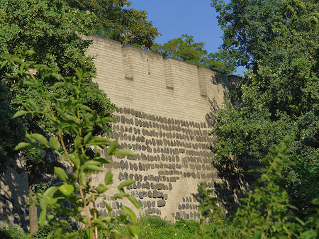 Stadtmauer am Sachsenring Foto 