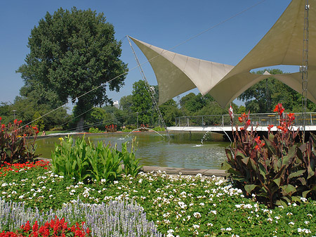 Tanzbrunnen im Rheinpark Foto 