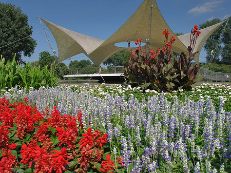 Tanzbrunnen im Rheinpark