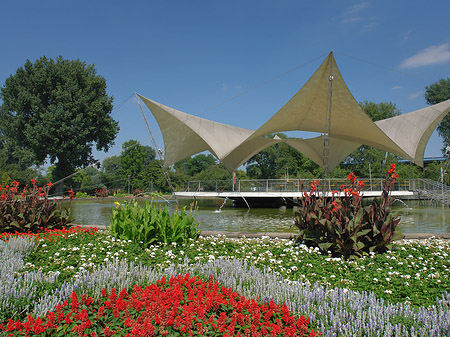 Tanzbrunnen im Rheinpark Fotos