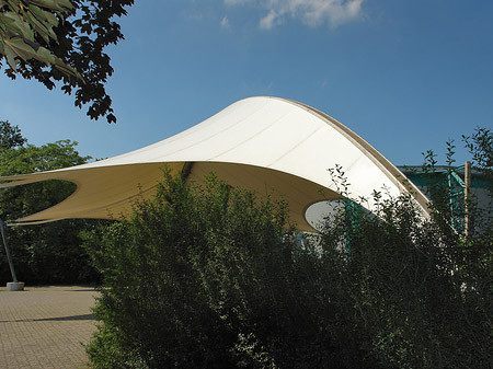 Foto Tanzbrunnen im Rheinpark - Köln