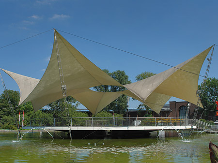 Foto Tanzbrunnen im Rheinpark - Köln